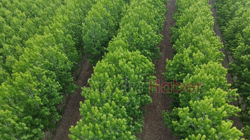 Sahibinden satılık arsa