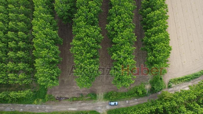 Sahibinden satılık arsa