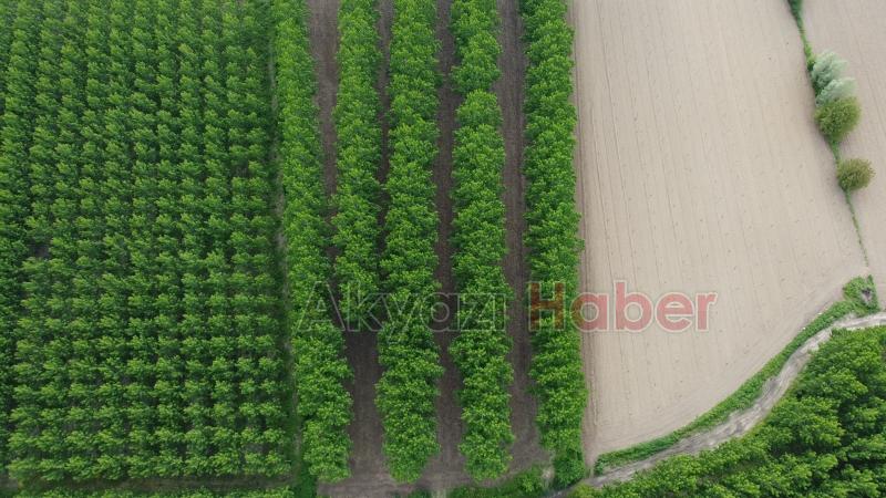 Sahibinden satılık arsa