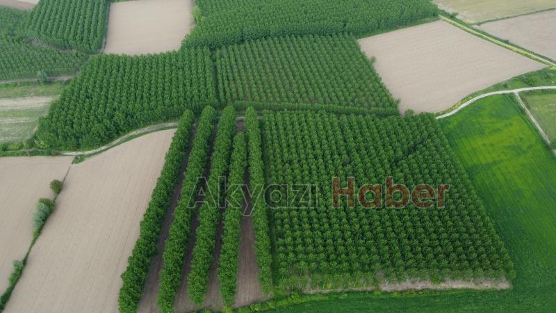 Sahibinden satılık arsa