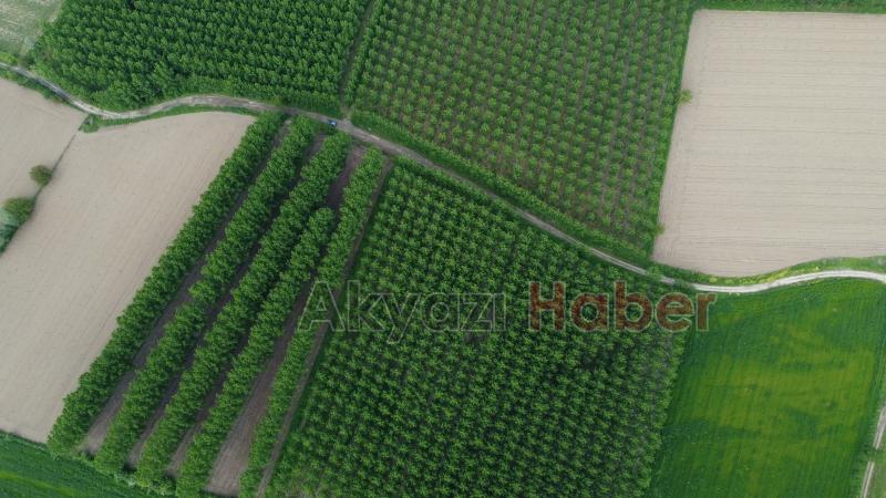 Sahibinden satılık arsa