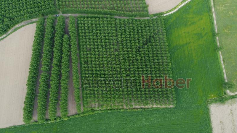 Sahibinden satılık arsa