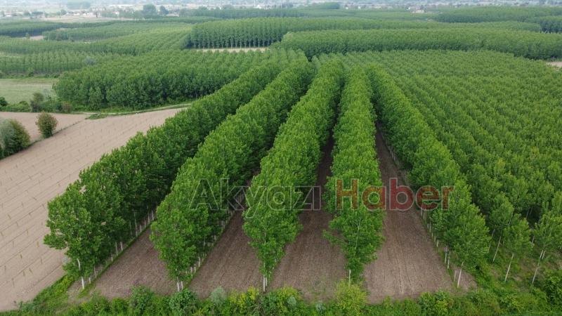 Sahibinden satılık arsa