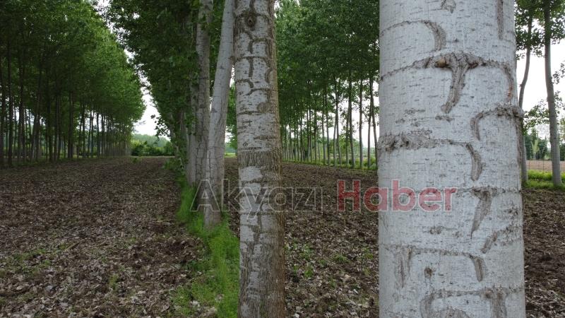 Sahibinden satılık arsa