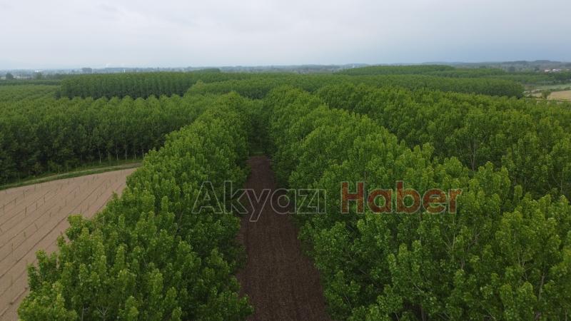 Sahibinden satılık arsa