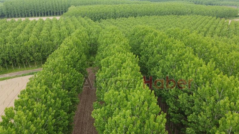 Sahibinden satılık arsa