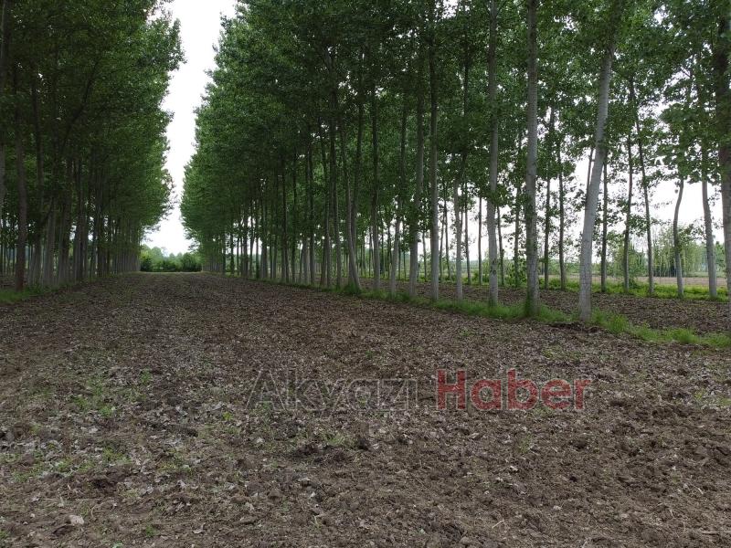 Sahibinden satılık arsa