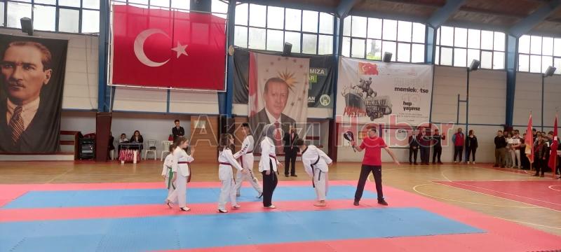 Akyazı'da 19 Mayıs Atatürk'ü Anma Gençlik ve Spor Bayramı kutlandı