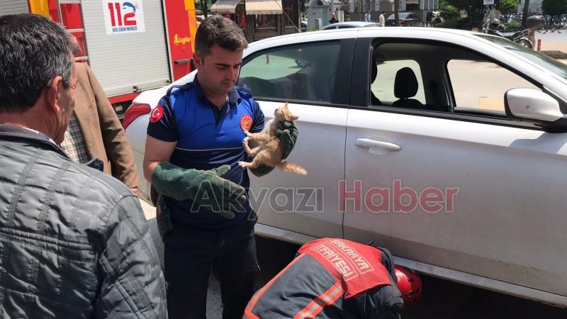 Motor Kısmına Giren yavru kediyi kurtarma operasyonu