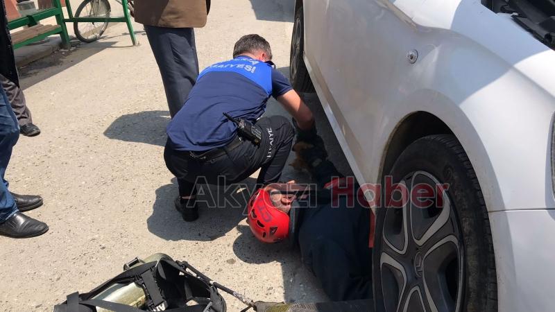 Motor Kısmına Giren yavru kediyi kurtarma operasyonu