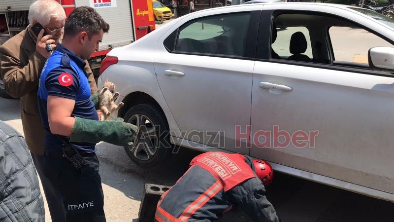 Motor Kısmına Giren yavru kediyi kurtarma operasyonu