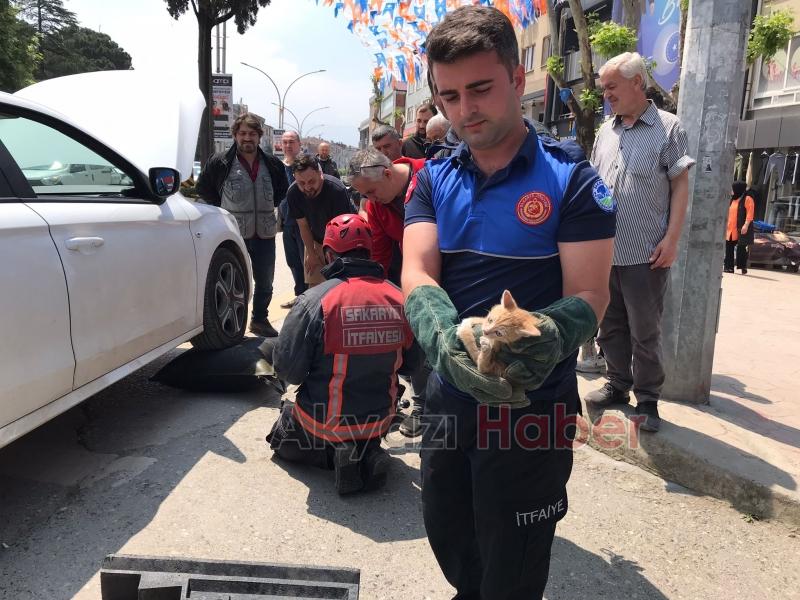 Motor Kısmına Giren yavru kediyi kurtarma operasyonu