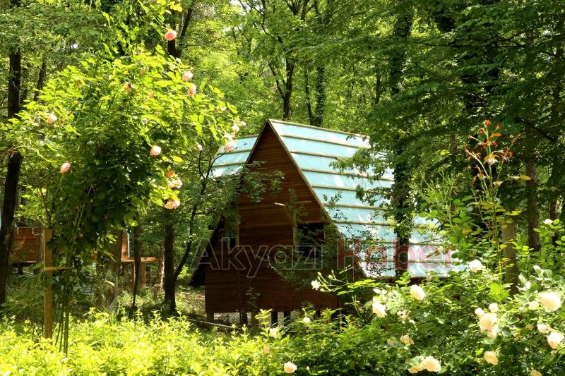 Büyükşehir’in bungalovları doğaya renk kattı