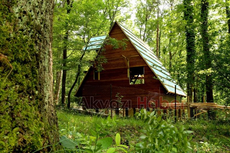 Büyükşehir’in bungalovları doğaya renk kattı