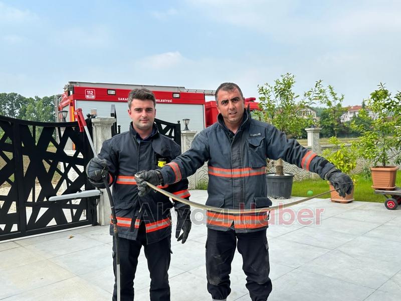 Evin garajından yılan çıktı
