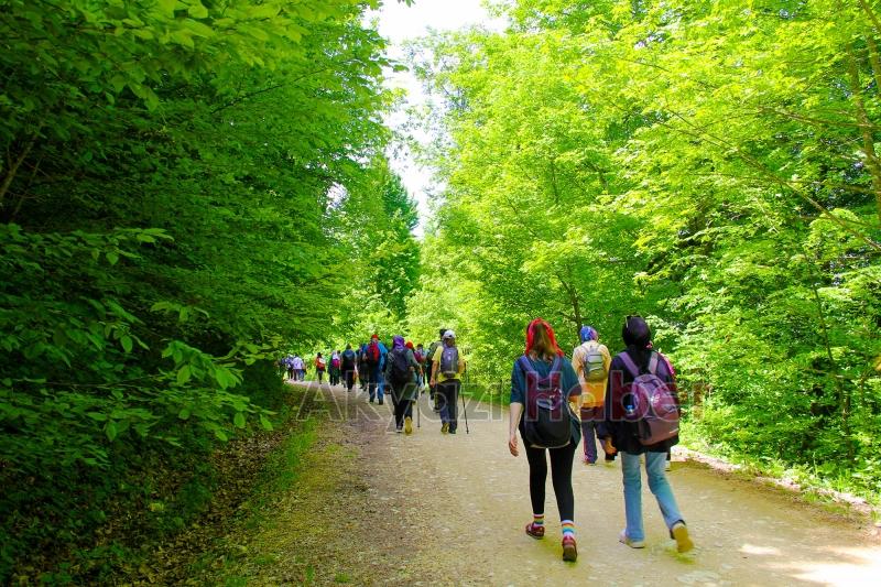 Doğa yürüyüşleri Yörükyeri parkuru ile devam etti