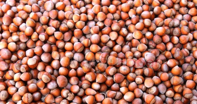 TMO'yu dolandıranlara operasyon