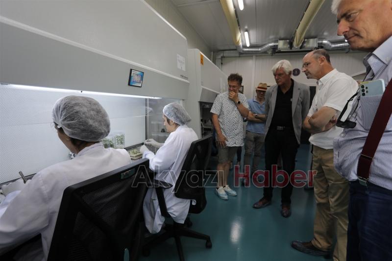 SATSO Doku Kültürü Laboratuvarı Avrupalı fidancıları ağırladı