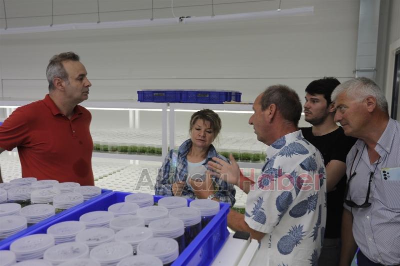 SATSO Doku Kültürü Laboratuvarı Avrupalı fidancıları ağırladı