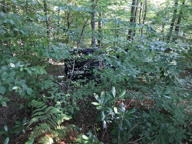 Ormana uçan araçtaki 4 kişi yaralandı