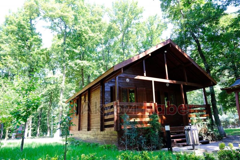 Büyükşehir'in orman evleri mükemmel listesinde