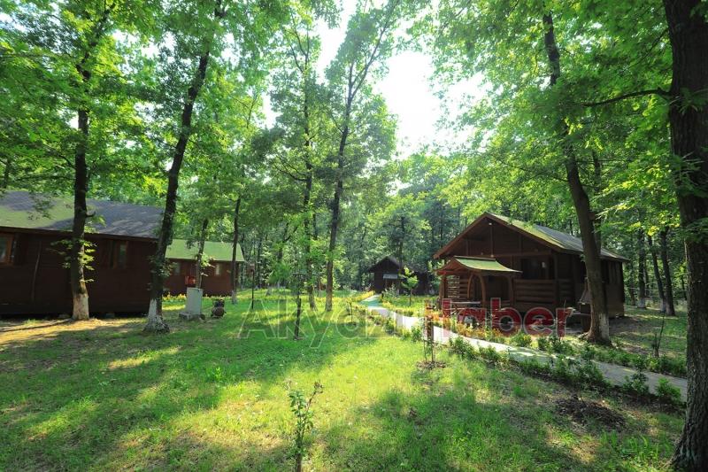 Büyükşehir'in orman evleri mükemmel listesinde