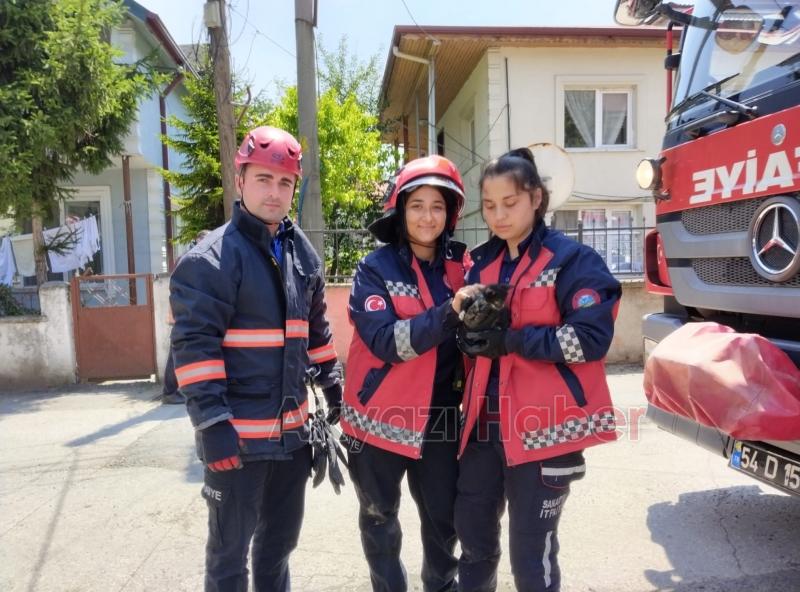 Yavru kedinin imdadına itfaiye yetişti