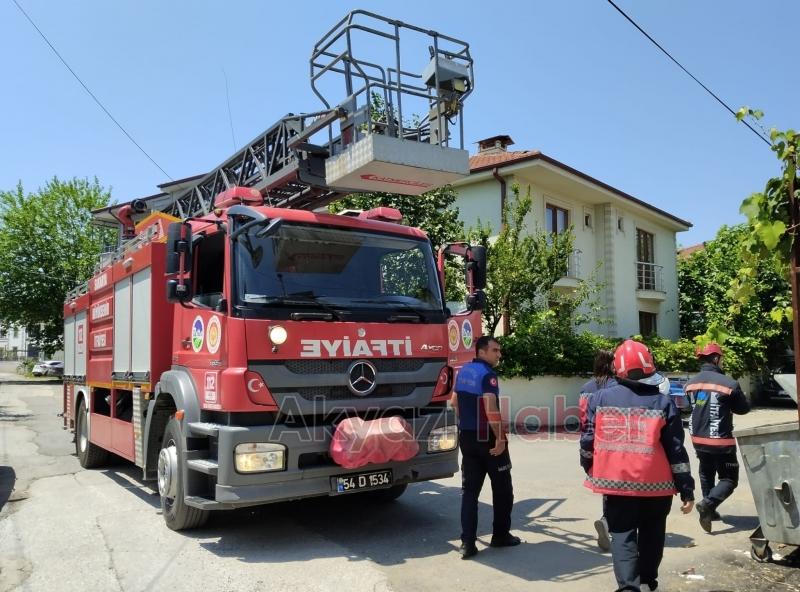 Yavru kedinin imdadına itfaiye yetişti