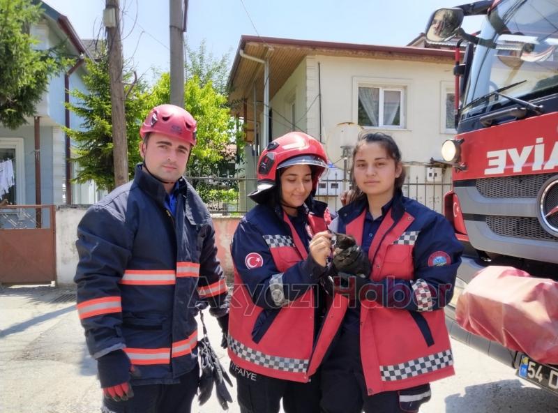 Yavru kedinin imdadına itfaiye yetişti