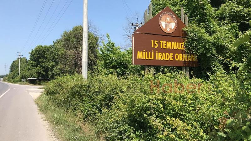 15 Temmuz Şehitleri ve Milli İrade Ormanı'nı dikenlerle kaplı