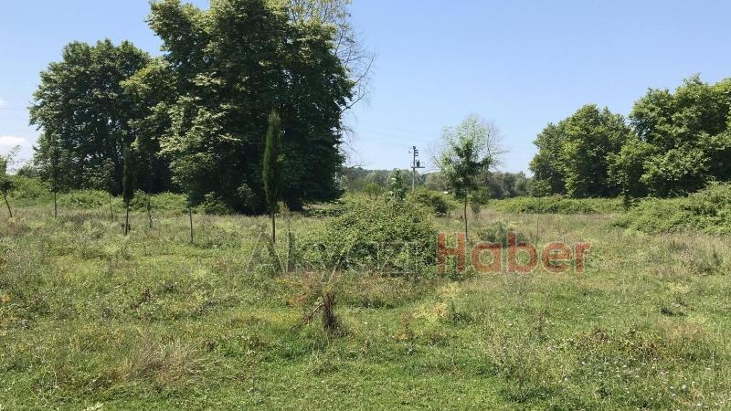 15 Temmuz Şehitleri ve Milli İrade Ormanı'nı dikenlerle kaplı