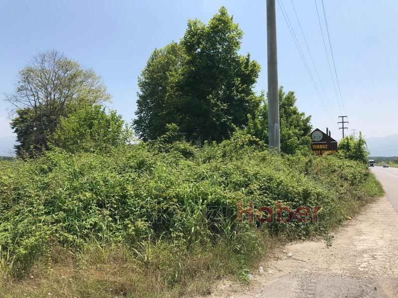 15 Temmuz Şehitleri ve Milli İrade Ormanı'nı dikenlerle kaplı