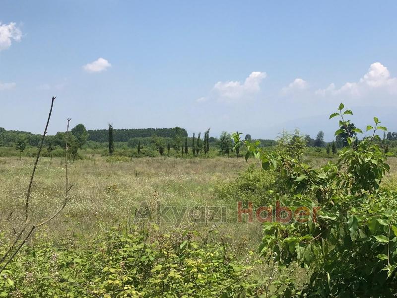 15 Temmuz Şehitleri ve Milli İrade Ormanı'nı dikenlerle kaplı