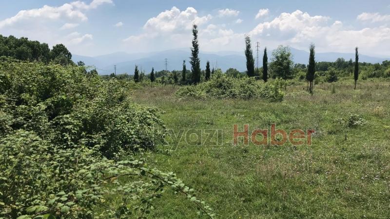 15 Temmuz Şehitleri ve Milli İrade Ormanı'nı dikenlerle kaplı