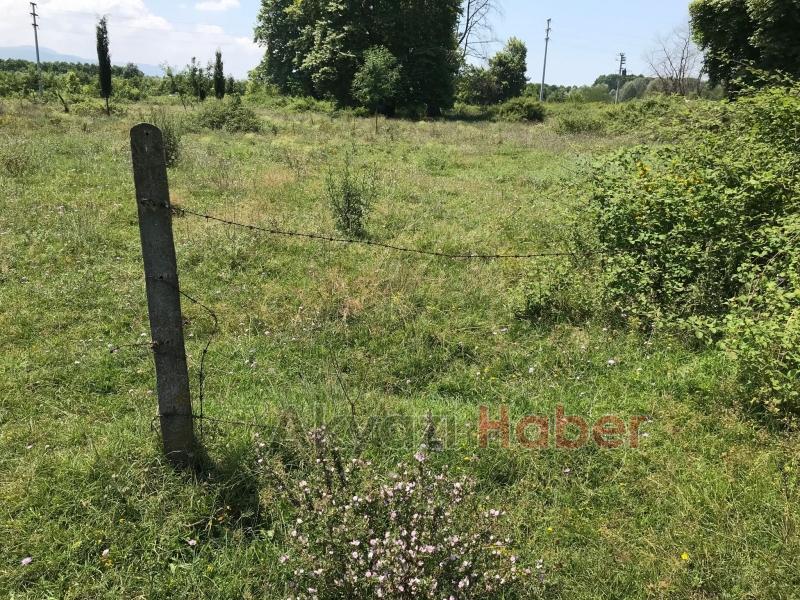 15 Temmuz Şehitleri ve Milli İrade Ormanı'nı dikenlerle kaplı