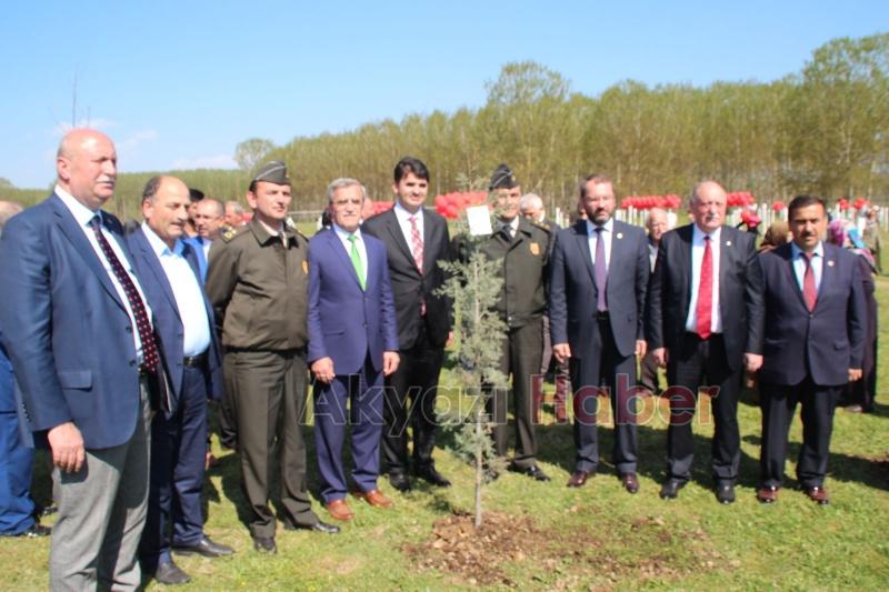 15 Temmuz Şehitleri ve Milli İrade Ormanı'nı dikenlerle kaplı