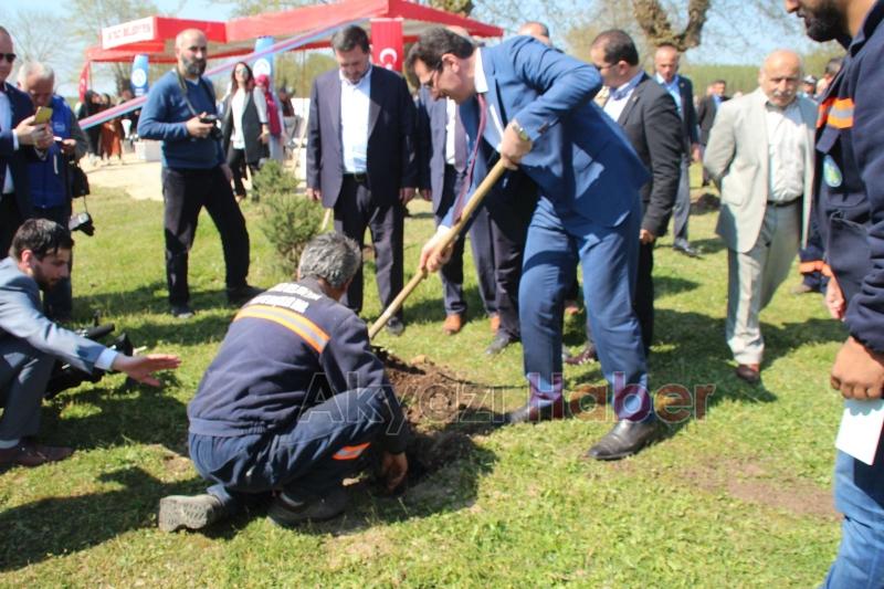 15 Temmuz Şehitleri ve Milli İrade Ormanı'nı dikenlerle kaplı