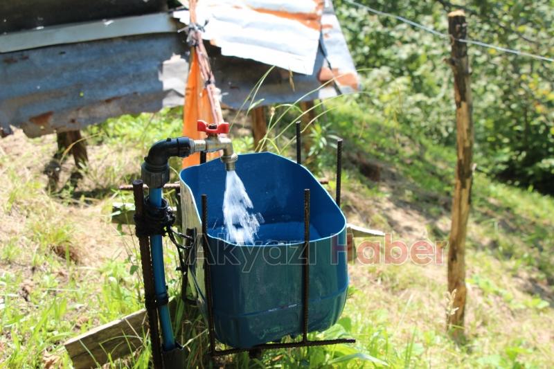 Fındıklığını yaban hayvanlarından korumak için düzenek yaptı