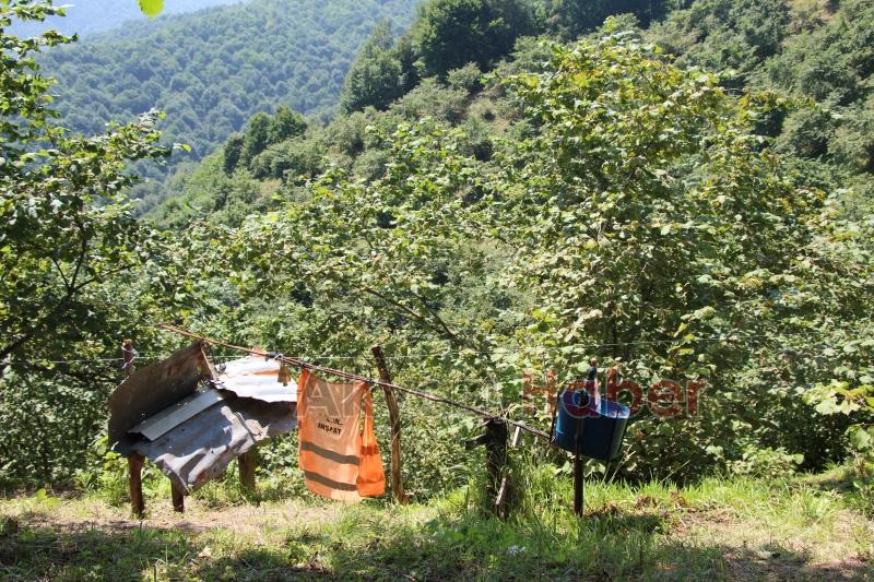 Fındıklığını yaban hayvanlarından korumak için düzenek yaptı