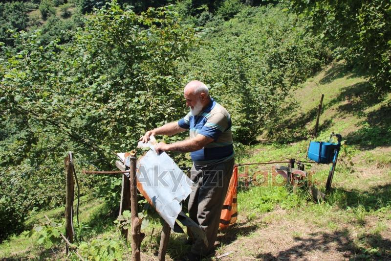 Fındıklığını yaban hayvanlarından korumak için düzenek yaptı