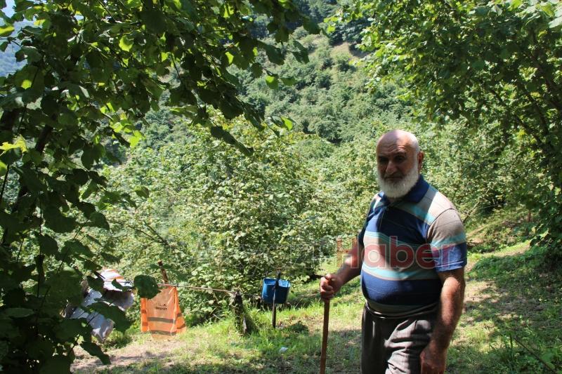 Fındıklığını yaban hayvanlarından korumak için düzenek yaptı