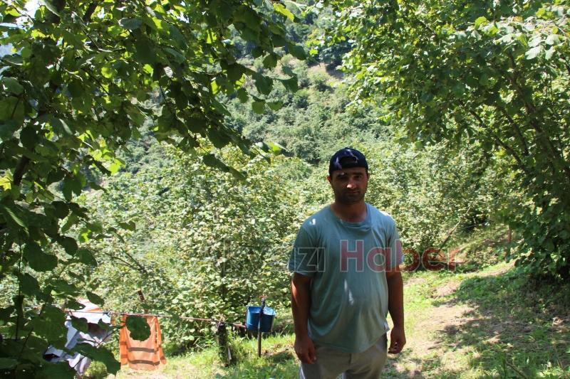 Fındıklığını yaban hayvanlarından korumak için düzenek yaptı