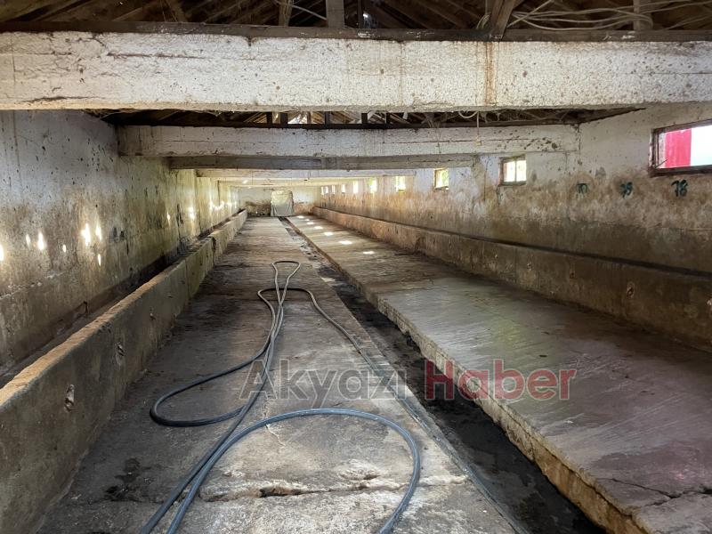 Üç ilçede şap alarmı