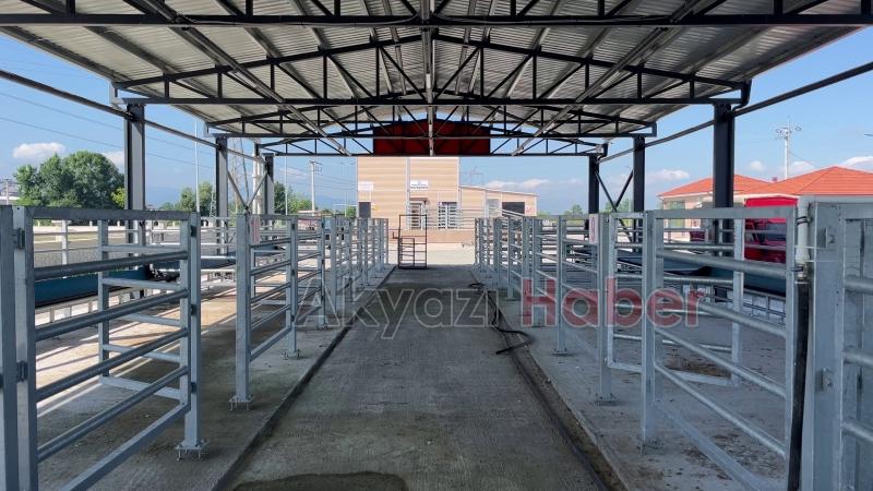 Üç ilçede şap alarmı