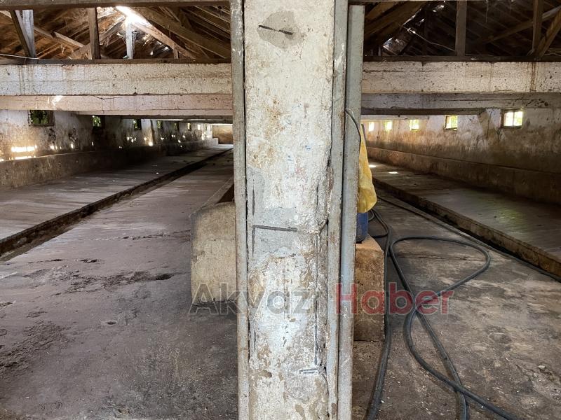 Üç ilçede şap alarmı