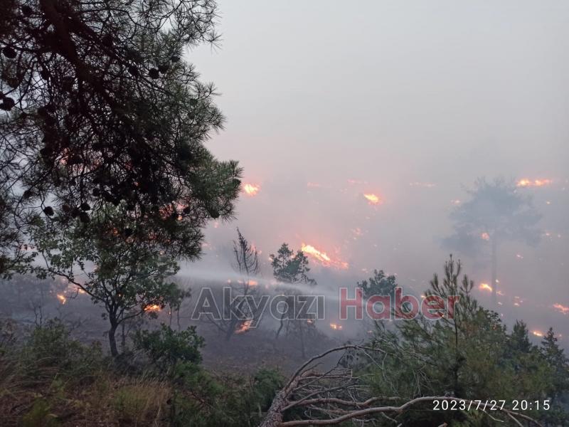 Ciğerlerimiz yanıyor