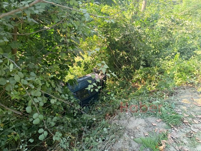 Şarampole uçan otomobil sürücüsü yaralandı