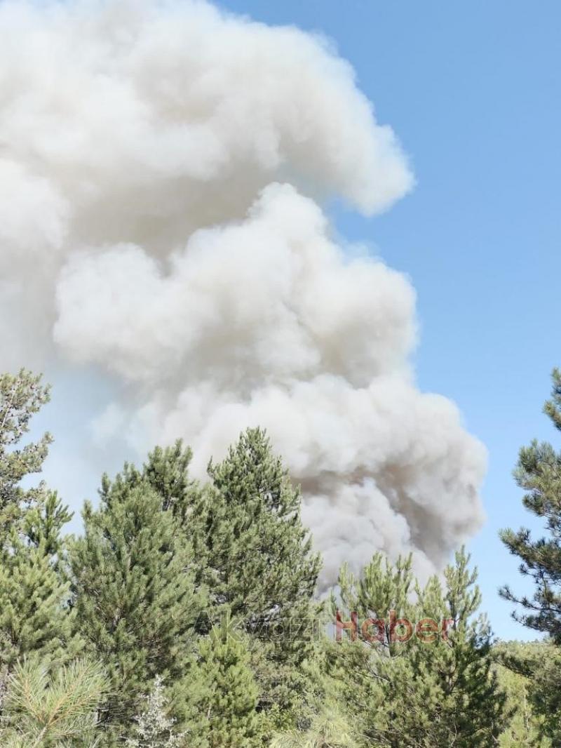 Orman yangınına müdahaleye Akyazı ekibi destek verdi