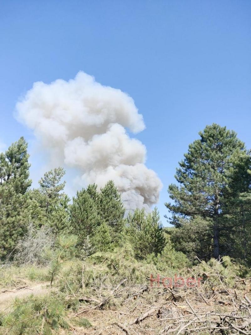 Orman yangınına müdahaleye Akyazı ekibi destek verdi