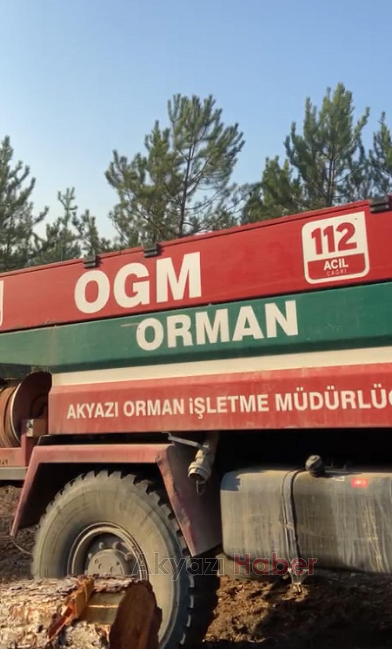 Orman yangınına müdahaleye Akyazı ekibi destek verdi